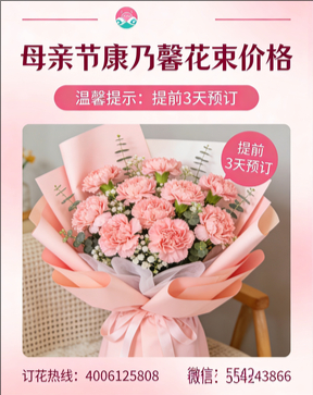 忻州花店母亲节康乃馨花束