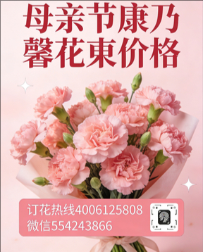 忻州花店母亲节康乃馨花束